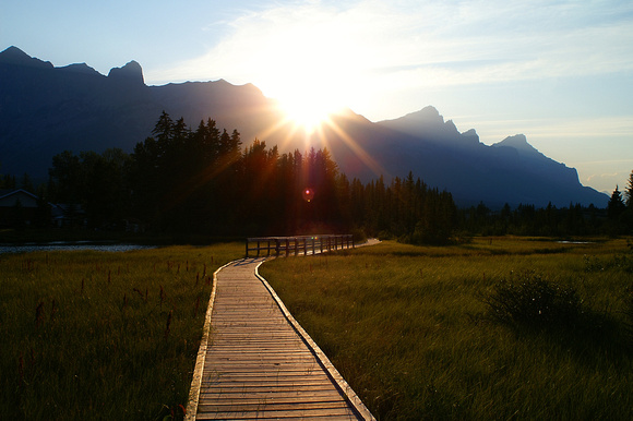 Sunset on the nature walk, Canmore, Alberta, Canada.
